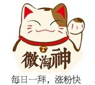 微淘运营、引粉、推广日记 经验心得 第24张